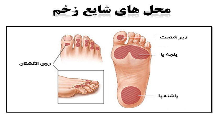 ما چه می کنیم ؟